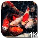 Logo of Koi 4K Video Live Wallpaper android Application 