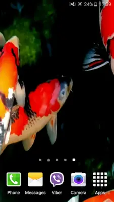 Koi 4K Video Live Wallpaper android App screenshot 0