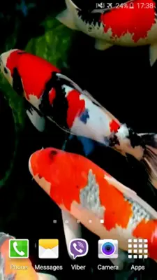 Koi 4K Video Live Wallpaper android App screenshot 1