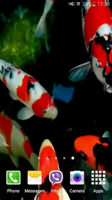 Koi 4K Video Live Wallpaper android App screenshot 2